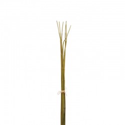 Decoración vegetal imitación bambú de plástico verde 4x4x76 cm