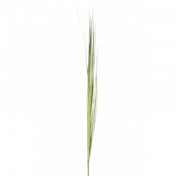Branche d'herbe en plastique vert H157cm