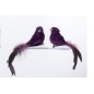 Set de 2 oiseaux avec clip en résine mauve 16x4x6 cm