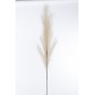 Branche de plumeau en plastique beige 20x6x160 cm