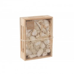 Caja rectangular con conchas de madera blanca de 20x15x6 cm