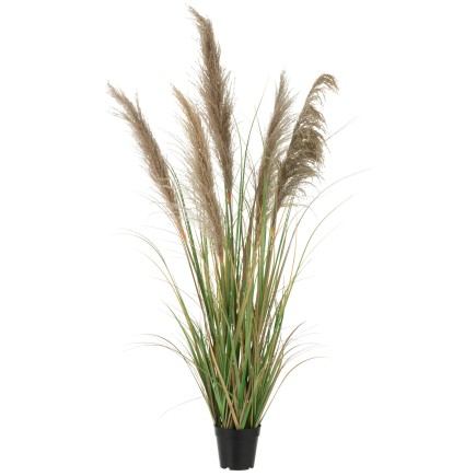 Herbe de pampas 5 têtes en pot en plastique vert 58x58x140 cm