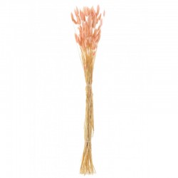 Ramo de cola de liebre seca en madera rosa 82x15x3 cm