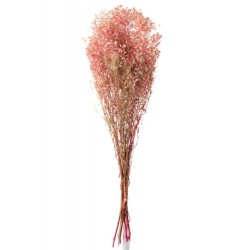 Manojo gypsophila seco rosa Alt. 84 cm