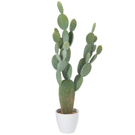 Cactus verde en maceta de plástico blanco de 60x24.5x130 cm