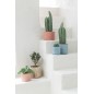 Cactus artificiel rond dans pot en plastique vert 11x11x15 cm