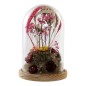 Figurine Décorative DKD Home Decor Verre Fleurs Bois MDF (17 x 17 x 26 cm)