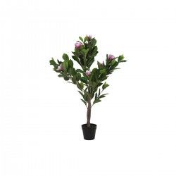 Plante décorative DKD Home Decor Rose Vert PE (60 x 60 x 125 cm)