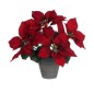 Plante décorative Mica Decorations Rouge PVC