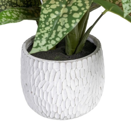 Planta Decorativa Verde PVC 52 x 44 x 44 cm