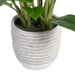 Planta Decorativa 40 x 41 x 48 cm Verde PVC