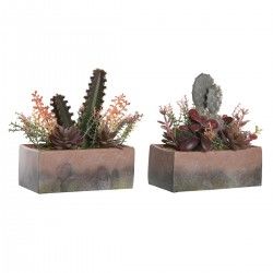 Plante décorative DKD Home Decor 19 x 9 x 22 cm Rose Orange Cactus Feuille de Mousse polypropylène (2 Unités)