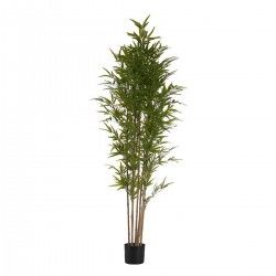 Plante décorative Bambou Vert Plastique (80 x 180 x 80 cm)