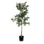 Plante décorative Versa Métal Plastique Ciment 41 x 122 x 43 cm