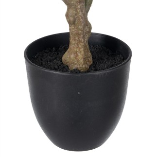 Planta Decorativa Polietileno Hierro PEVA Roble 76 cm