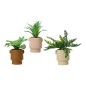 Planta Decorativa EDM 808559 Maceta 25 cm