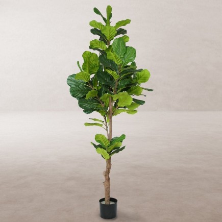 Planta Decorativa Poliuretano Cemento Ficus 200 cm