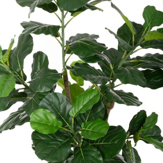 Plante décorative Polyuréthane Ciment Ficus 175 cm