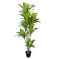 Planta Decorativa Poliuretano Cemento 180 cm