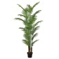 Plante décorative Polyuréthane Ciment Areca 210 cm