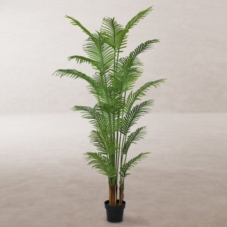 Planta Decorativa Poliuretano Cemento Areca 210 cm