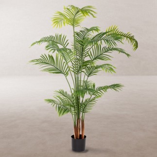 Plante décorative Polyuréthane Ciment Areca 150 cm