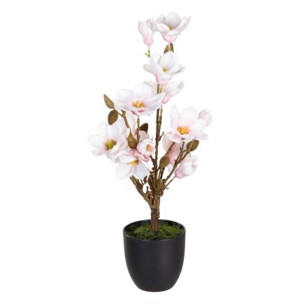 Planta Decorativa Poliéster Polietileno Hierro 30 x 30 x 60 cm Magnolia