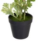 Plante décorative Polyester Polyéthylène Fer Fleur 12,5 x 12,5 x 37 cm