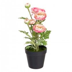 Plante décorative Polyester Polyéthylène Fer Fleur 12,5 x 12,5 x 37 cm