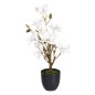 Plante décorative Polyester Polyéthylène Fer 30 x 30 x 60 cm Magnolia