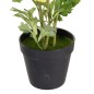 Plante décorative Polyester Polyéthylène Fer Fleur 12,5 x 12,5 x 37 cm