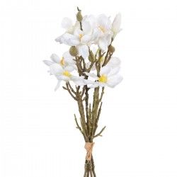 Branche Blanc Vert 37 x 20 x 41 cm Magnolia