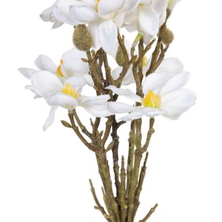 Branche Blanc Vert 37 x 20 x 41 cm Magnolia