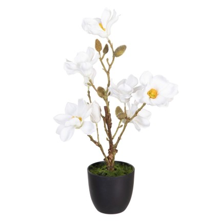 Planta Decorativa Poliéster Polietileno Hierro 25 x 25 x 49 cm Magnolia