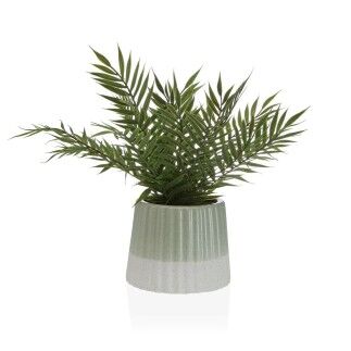 Plante décorative Versa