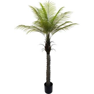 Plante décorative Alexandra House Living Plastique Palmier 180 cm