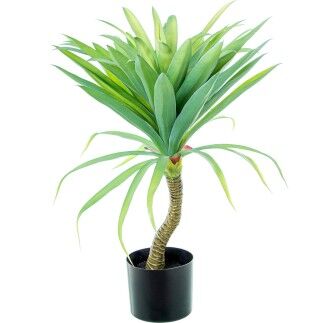 Plante décorative Alexandra House Living Plastique yucca 70 cm