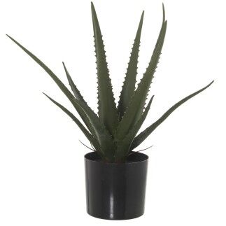 Plante décorative Alexandra House Living Plastique Aloe Vera 11 x 11 x 39 cm