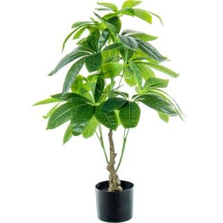 Plante décorative Alexandra House Living Plastique Pachira aquatique 90 cm