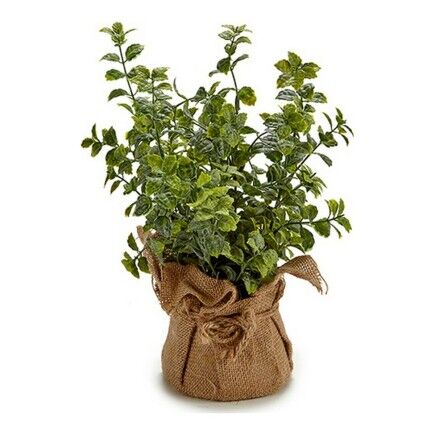 Plante décorative Plastique (12 x 31 x 12 cm) (12 x 34 x 12 cm)