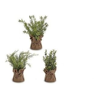 Plante décorative Plastique (12 x 31 x 12 cm) (12 x 34 x 12 cm)