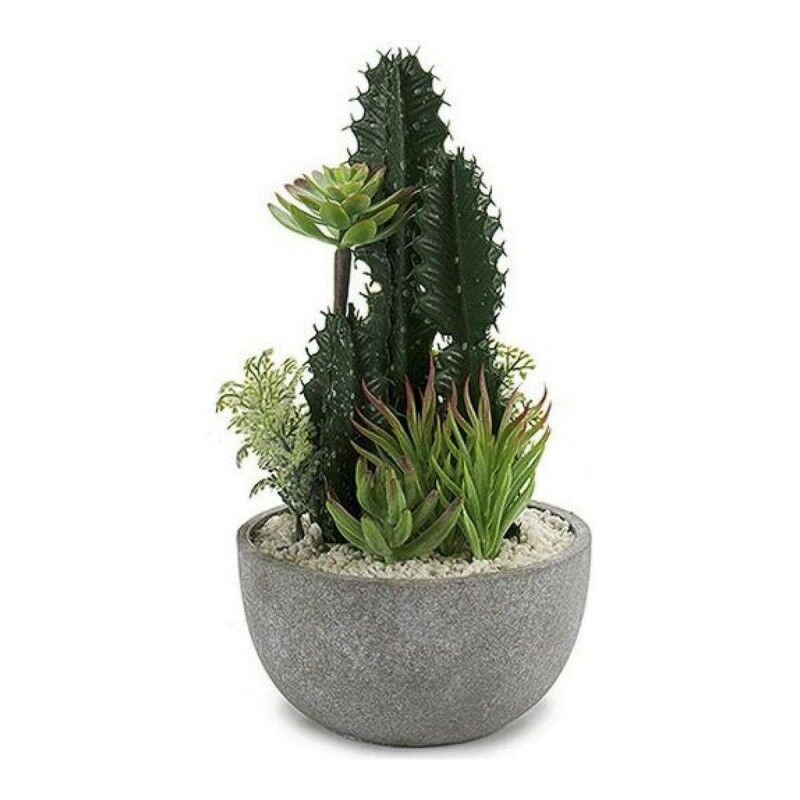 Cactus BIG-S3601496 Céramique Plastique