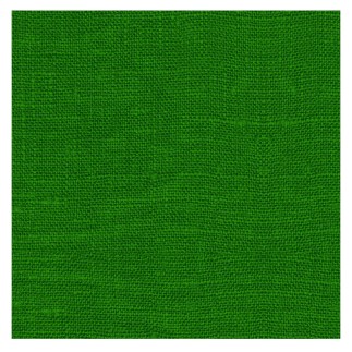 Paquet de 12 serviettes en papier vert 20x20cm