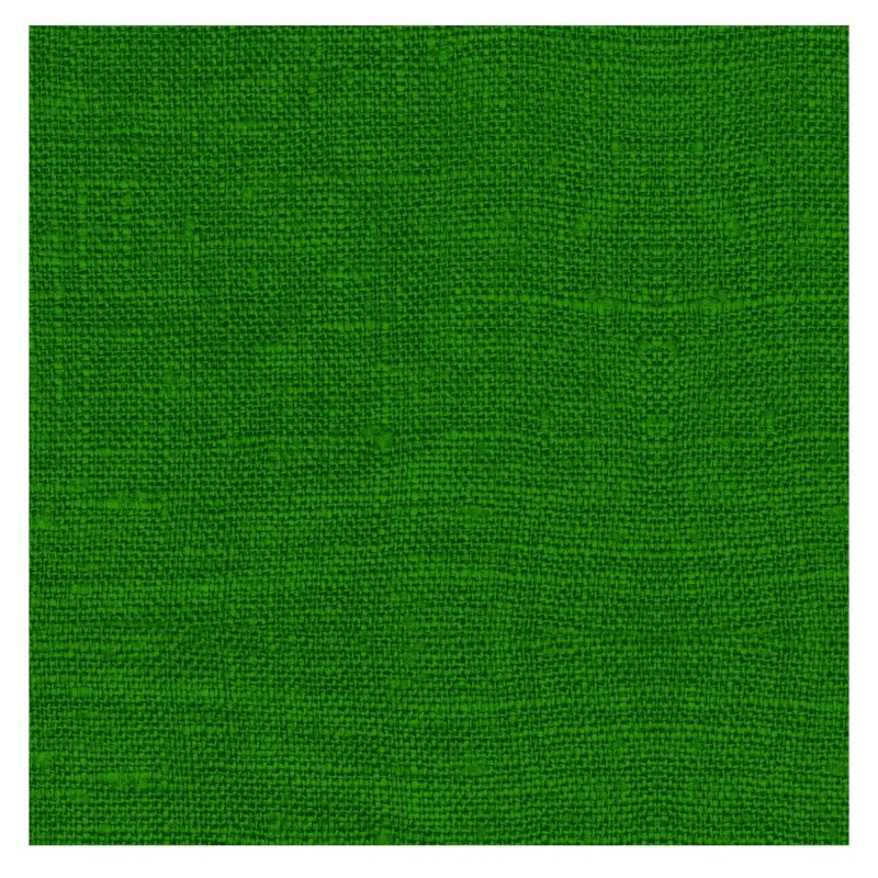 Paquet de 12 serviettes en papier vert 20x20cm