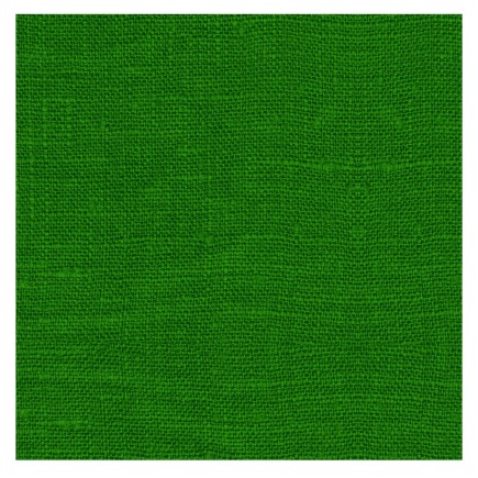 Paquet de 12 serviettes en papier vert 20x20cm