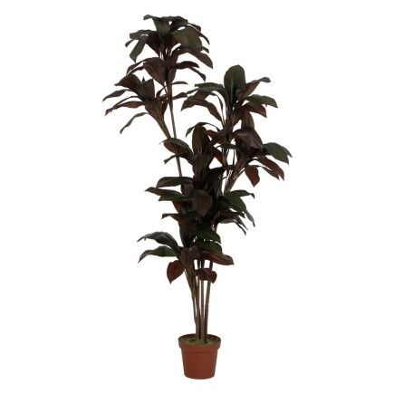 Plante décorative Polyéthylène Fer Ciment 45 x 45 x 170 cm