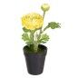 Plante décorative Polyester Polyéthylène Fer Fleur 9,5 x 9,5 x 29 cm