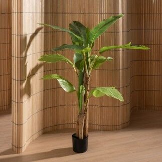 Pianta Decorativa Gomma 90 X 90 X 125 CM