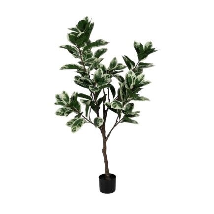 Planta Decorativa Goma 70 x 70 x 150 cm