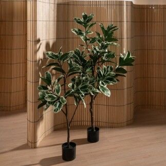 Planta Decorativa Goma 70 x 70 x 150 cm